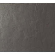 Напольная плитка Casalgrande Padana Architecture Gloss Dark Brown 10,5